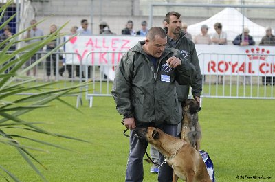 Remise des Prix 076.JPG - CHIENPLUS.COM